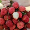 【预售】极客荔枝（仙香糯+仙进奉）丨仙香糯荔枝口感细腻、软糯柔嫩，肉质厚实；仙进奉荔枝，肉厚多汁，风味层次丰富，果肉嫩滑。到货冷藏3小时后再吃，带软枝发货，介意慎拍⭐️顺丰空运 商品缩略图8