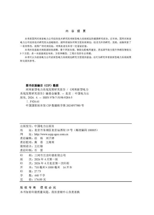 河南新型电力系统发展研究报告 商品图3