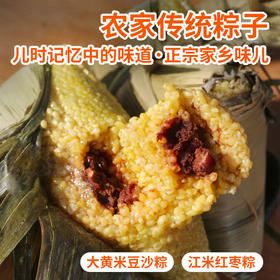 2026年农家传统纯手工粽子！ 儿时记忆中的味道，正宗家乡味儿  端午江米红枣/大黄米豆沙口味  3个装冷冻
