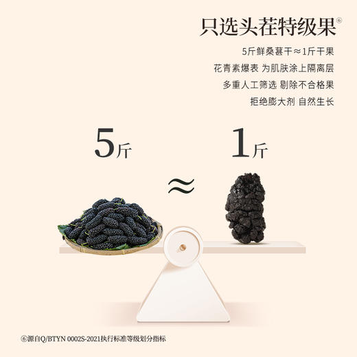 正安 桑葚干 补充精力恢复活力 免洗无沙桑葚桑果 即食果干泡茶用料 办公室零食健康果脯 优质原材 桑葚干 250g/罐 商品图5