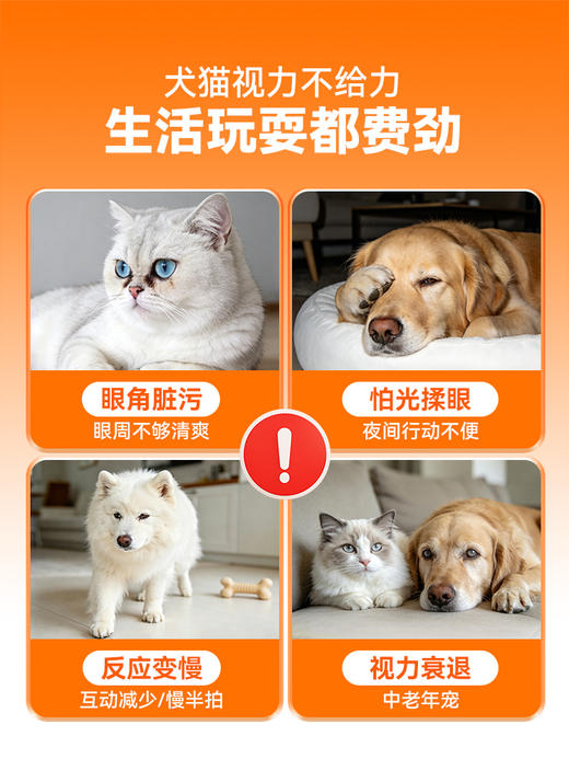 普安特宠物蓝莓叶黄素猫咪狗狗专用保护视力养眼润眼营养补充剂 商品图1