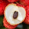 【预售】极客荔枝（仙香糯+仙进奉）丨仙香糯荔枝口感细腻、软糯柔嫩，肉质厚实；仙进奉荔枝，肉厚多汁，风味层次丰富，果肉嫩滑。到货冷藏3小时后再吃，带软枝发货，介意慎拍⭐️顺丰空运 商品缩略图7