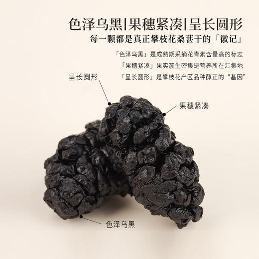 正安 桑葚干 补充精力恢复活力 免洗无沙桑葚桑果 即食果干泡茶用料 办公室零食健康果脯 优质原材 桑葚干 250g/罐 商品图4