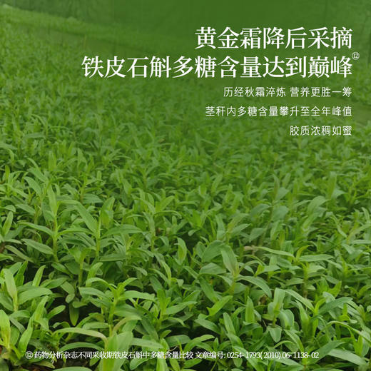 正安 铁皮石斛【618秒杀】深度润养告别干燥 煲汤食材冲泡用料 螺旋紧实胶质浓郁 优质原材 90g/罐-不叠加其他活动 商品图11
