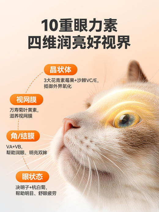 普安特宠物蓝莓叶黄素猫咪狗狗专用保护视力养眼润眼营养补充剂 商品图2