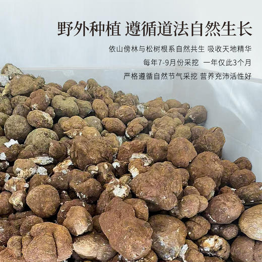 正安 云南普洱茯苓 赶跑湿气 煲汤煮茶 家庭汤料常备 夏季采挖优质原材 颗粒饱满均匀切丁 原味清香口感软糯 300g/罐 商品图9