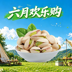 原色开心果250g