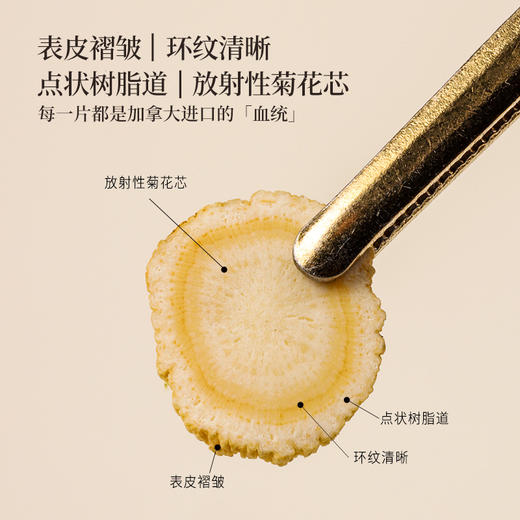 正安 加拿大进口西洋参  采挖4年老龄参低温烘干营养足 参味醇正优质原材 气盈清润小干人干驱走干燥内热 泡水煲汤商务长辈礼品 西洋参100g/罐 商品图2