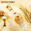 双沟大曲金奖光瓶酒 46度500mL 绵柔白酒 商品缩略图1