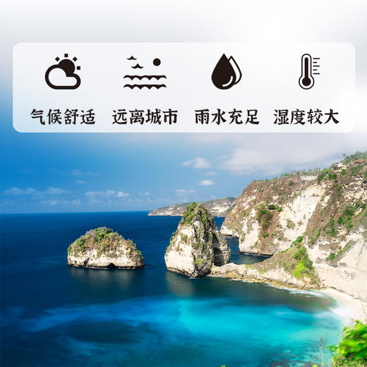 正安 可溯源精选燕窝 优质大密盏唾液酸含量高 优质原材 肺力滋润秋冬好物拒绝身体皮肤干燥 女性体弱者送礼优选 马来西亚/印度尼西亚进口燕窝【贵系原材，不叠加其他活动】 商品图5