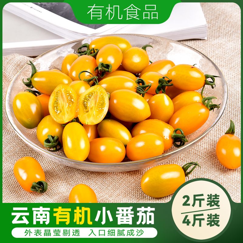 云南有机小番茄自然成熟水果番茄顺丰包邮基地直发即食果蔬