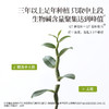正安 铁皮石斛【618秒杀】深度润养告别干燥 煲汤食材冲泡用料 螺旋紧实胶质浓郁 优质原材 90g/罐-不叠加其他活动 商品缩略图9