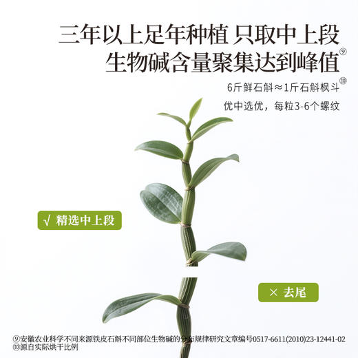 正安 铁皮石斛【618秒杀】深度润养告别干燥 煲汤食材冲泡用料 螺旋紧实胶质浓郁 优质原材 90g/罐-不叠加其他活动 商品图9