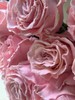 厄瓜多尔进口染色玫瑰花velvet rose gold玫瑰金丝绒粉天鹅绒10支 商品缩略图6
