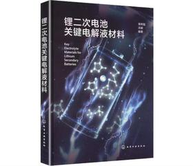 锂二次电池关键电解液材料
