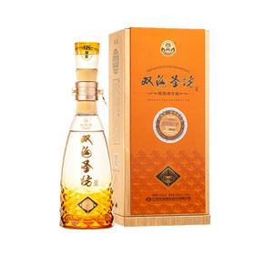 双沟珍宝坊圣坊42度（500mL+20mL）绵柔白酒