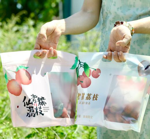【预售】极客荔枝（仙香糯+仙进奉）丨仙香糯荔枝口感细腻、软糯柔嫩，肉质厚实；仙进奉荔枝，肉厚多汁，风味层次丰富，果肉嫩滑。到货冷藏3小时后再吃，带软枝发货，介意慎拍⭐️顺丰空运 商品图14