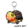钥匙扣 Q版卡通爬宠小宠周边 亚克力挂饰挂件 super rep超爬正版【48小时发货】 商品缩略图6