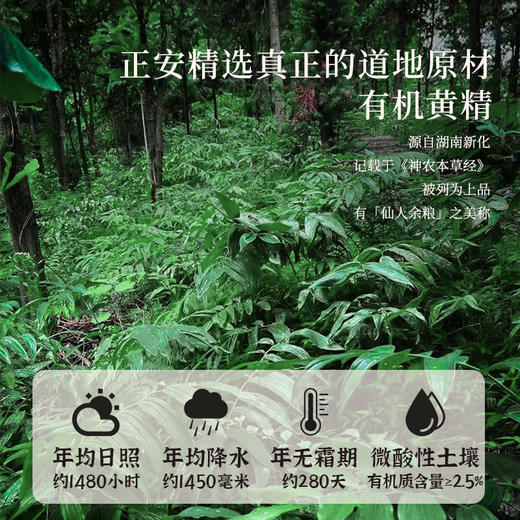 正安 九蒸九晒湖南新化有机黄精 古法炮制温润不上火 精力腰肾 优质原材  肉质肥厚油亮乌黑 口感软糯吸收好 180g/罐【预售至6月17日发货】 商品图5