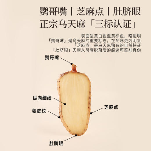 正安 云南昭通天麻 对补充脑子能量有益处 煲汤食材炖汤用料  精选优质原材 乌天麻中心切片 色泽自然胶质通透 130g/罐 商品图5