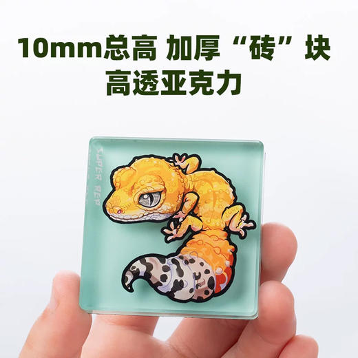 加厚冰箱贴 豹纹守宫主题 亚克力材质磁吸 Q版 卡通爬宠动物周边 super rep超爬怪兽系列 正版【48小时发货】 商品图0