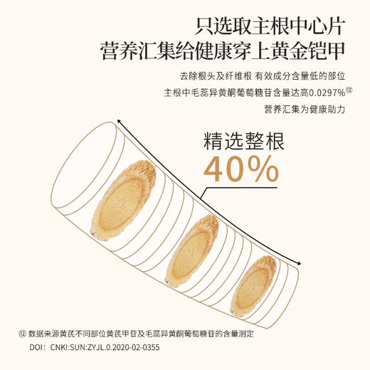 正安 甘肃黄芪 经过66项农残检测 主根切片优质原材 元气脾胃气短疲惫 老人家庭汤料茶饮办公室 2年生陇西黄芪180g/罐 商品图6