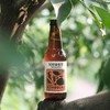 惜食特惠 | 耙耙柑红茶康普茶  230ml*6瓶装【赏味期：2026.11.11】 商品缩略图0