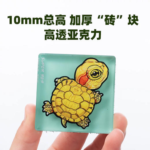 加厚冰箱贴 巴西龟主题 亚克力材质磁吸 Q版 卡通爬宠乌龟动物周边 super rep超爬怪兽系列 正版【48小时发货】 商品图0