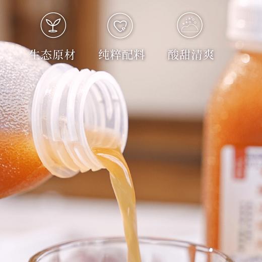 【谦益】谦益米酿山楂爽300ml 植物饮料 配料干净 酸甜爽口开胃 商品图1