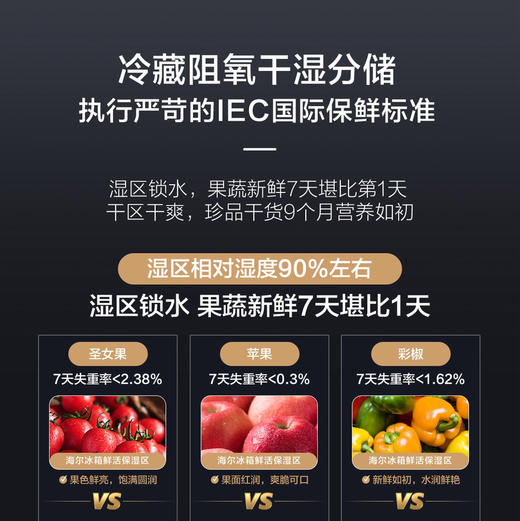 海尔（Haier）冰箱 BCD-545WGHFD1BAXU1 商品图3