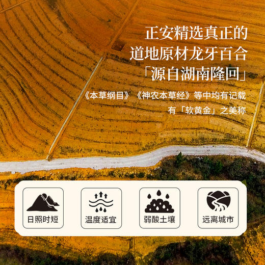 正安 湖南隆回龙牙百合  参考中国药典标准牙瓣大肉厚 优质原材 甘平下火降燥温养口感粉糯清甜 滋润秋冬煲汤食材家庭糖水百合地黄汤 特大片百合150g/罐 商品图6