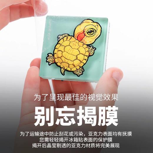 加厚冰箱贴 巴西龟主题 亚克力材质磁吸 Q版 卡通爬宠乌龟动物周边 super rep超爬怪兽系列 正版【48小时发货】 商品图3