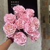 厄瓜多尔进口染色玫瑰花velvet rose gold玫瑰金丝绒粉天鹅绒10支 商品缩略图1