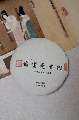周五秒杀 /  2025年倚邦鸡嘴壳头春古树 200g/饼 拍5发6更划算