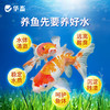 华畜鱼缸清澈剂水族用水质净化免换水特清洁清水清澈澄清剂净水王 商品缩略图2
