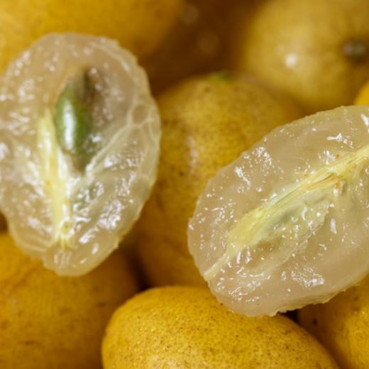 郁南黄皮 | 广东郁南特产 ! 一口水润爆汁，酸甜回甘 ! 夏日限定，金黄饱满诱人，晶莹剔透果肉 ! 剪枝发货，品种正宗 ! 商品图9
