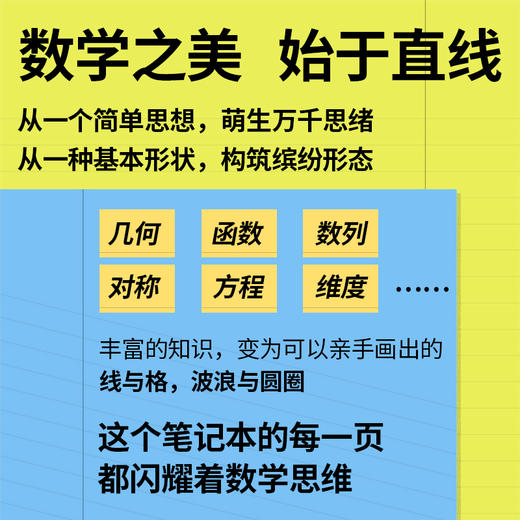 数学奇妙笔记本：线条的秩序，放飞的思想 商品图1