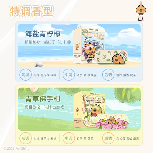 【拍三盒更划算】珍视明卡皮巴拉系列蒸汽眼罩10片/盒 商品图4