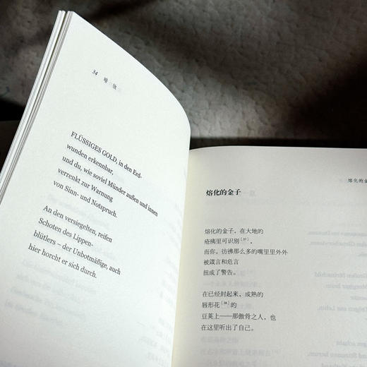 暗蚀  保罗·策兰诗全集 第八卷 德汉对照注释本 商品图11