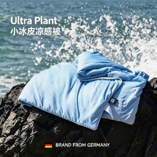 热卖中！ULTRA Plant 冰丝夏凉被 商品图3