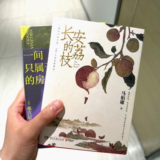 《太白金星有点烦》、《长安的荔枝》  马伯庸 历史短小说 商品图6