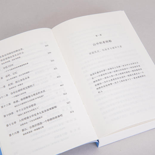 另一个国度：在20世纪废墟上漫游 杨潇 著 商品图9