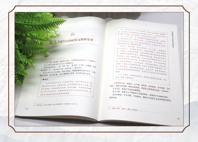 中医89_05.jpg