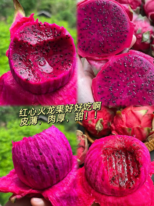 云南红心火龙果（6个装） 商品图1