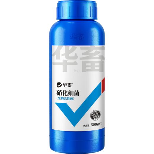 华畜硝化细菌鱼缸用净水剂养鱼净化水质稳定剂分解鱼粪消化活菌液 商品图5