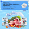 海尔（Haier）冰箱 BCD-461WGHTDE5S9U1 商品缩略图12