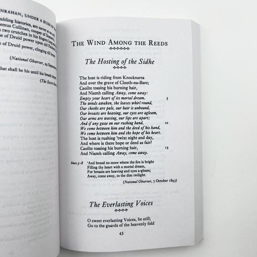 正版 叶芝诗集 英文原版诗歌选集 Yeats Selected Poems 企鹅现代经典系列 诺贝尔奖作者 英文版进口书籍 商品图3