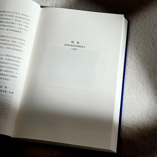 暗蚀  保罗·策兰诗全集 第八卷 德汉对照注释本 商品图8