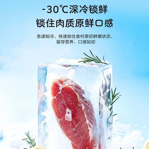 海尔（Haier）冰箱 BCD-461WGHTDE5S9U1 商品图13