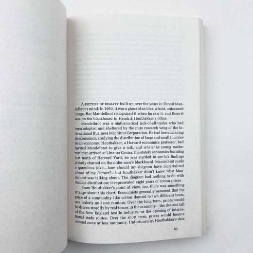 混沌 一门新科学的制作 英文原版 Chaos Making a New Science 开创新科学 詹姆斯格雷克 James Gleick 英文版进口原版英语书籍 商品图3